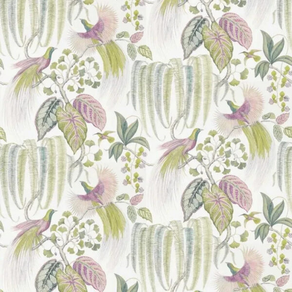 Sanderson - The Glasshouse - Bird of Paradise - Orchid - 216654 - Batch AA8