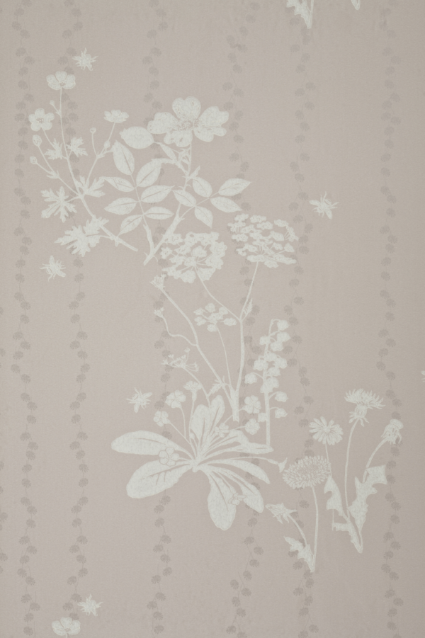 Barneby Gates - Collection II - Wild Meadow - Dandelion - BG0200101 - Batch C