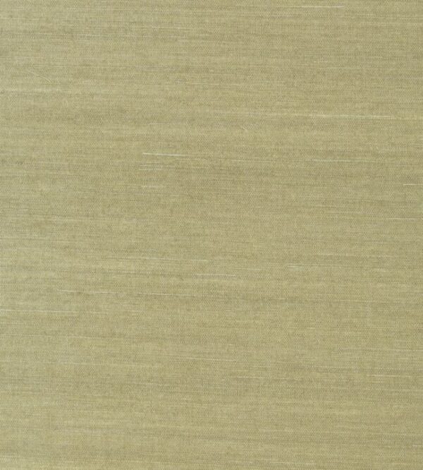 Thibaut- Grasscloth Resource 3- Shang Extra Fine Sisal -Moss -T41166-Batch T-16N