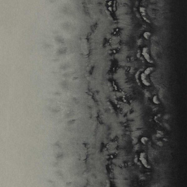 Clarke & Clarke - Fusion - Disperse - Silver - W0149/03 - Batch A