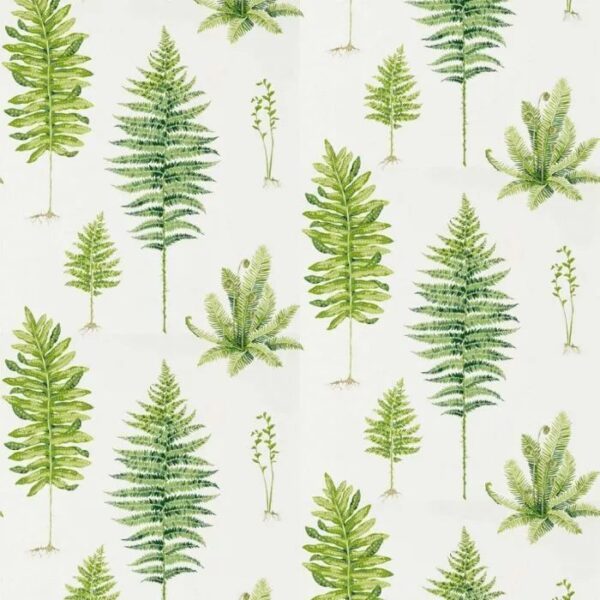 216633 Sanderson Wallpaper