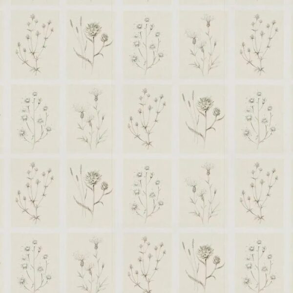 216511 Sanderson Wallpaper